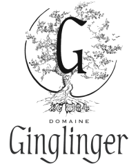 Le Hameau d'Eguisheim, gites et chambres d'hôtes de charme en Alsace